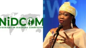 NIDCOM at one: So far, so good, By Abdur-Rahman Balogun