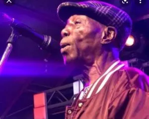 Baba Ani @ 85 and music as weapon for socio-political development